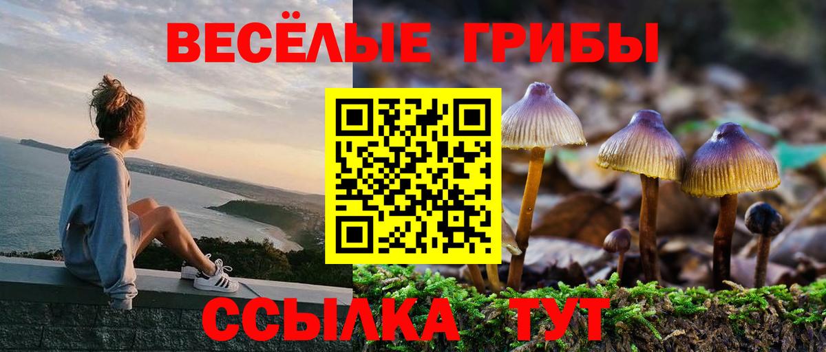 наркотики  Вход с VPN  Горячий Ключ  Галлюциногенные грибы мицелий 