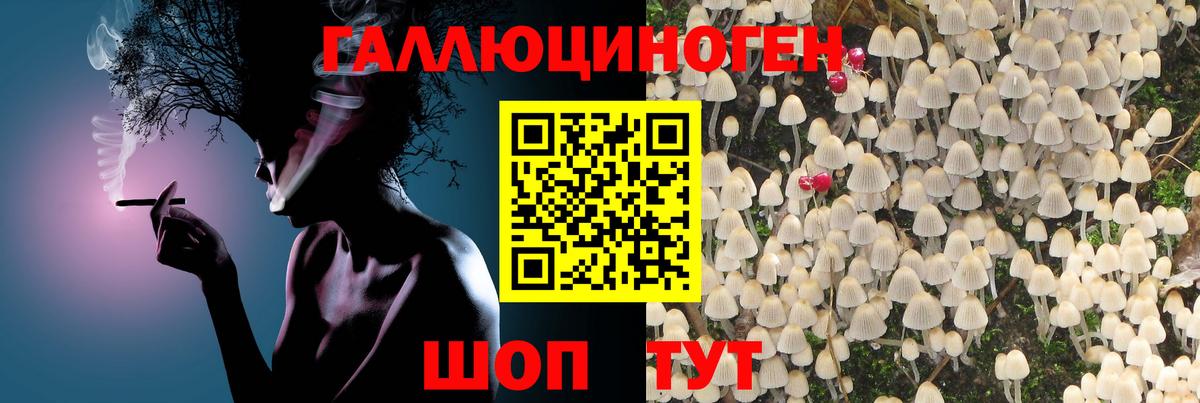 Alpha-PVP СОЛЬ   Вход с VPN  Как найти закладки?  МЕФ кристаллы  Горячий Ключ  Бошки Шишки  КОКАИН  ГАШИШ 